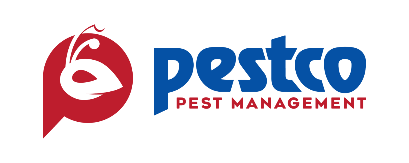 Pest Control Services Cairns & Far North Queensland